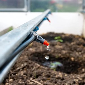 Система капельного полива для теплиц
